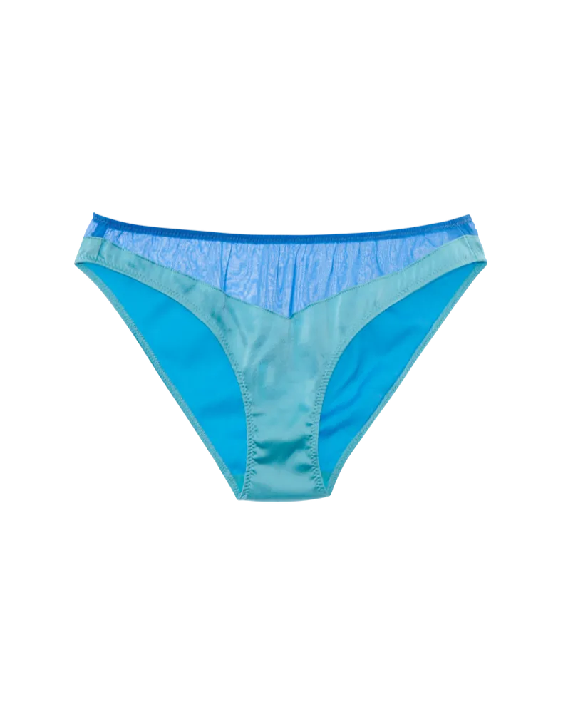 Araks: Aaron Silk Panty Brief - Peekaboo