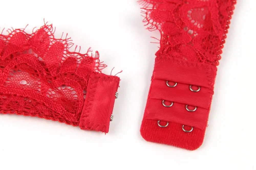 Floral Eyelash Lace Lingerie Egypt Bra Set