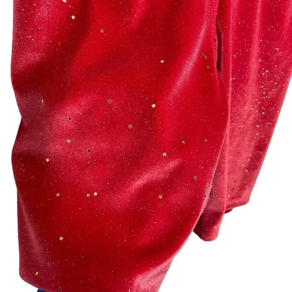 NWT Beach Riot Glitter Bike Short in Fiery Red Velvet Size XS