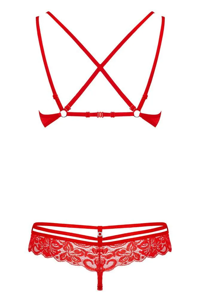 Obsessive Red Bra and Thong Set