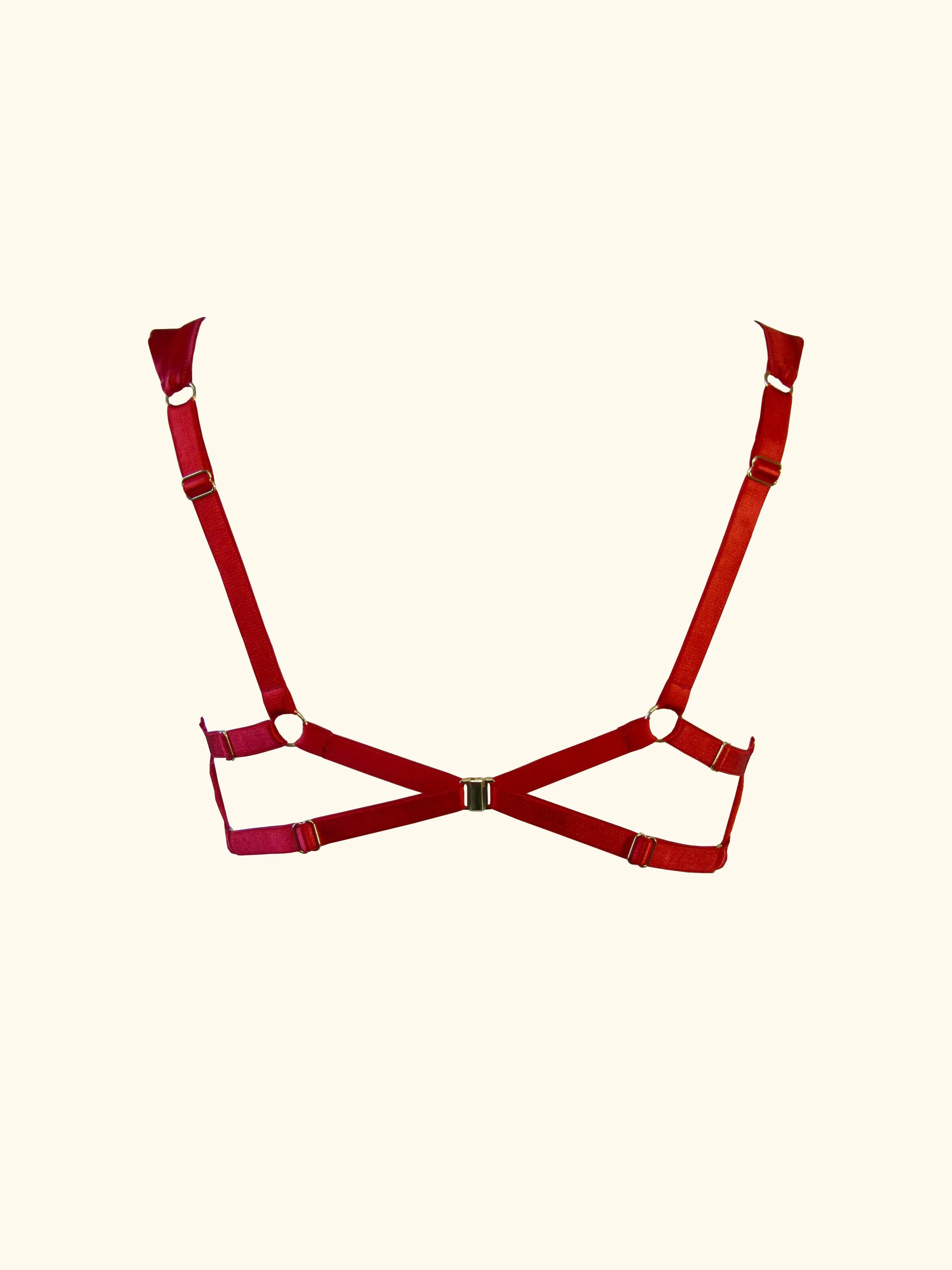 Olenska Underwire Bra