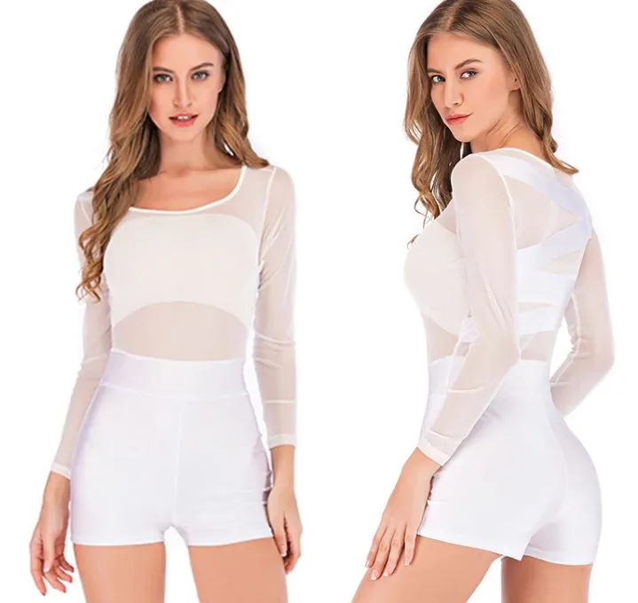 Sexy Mesh Long Sleeve Bodysuit